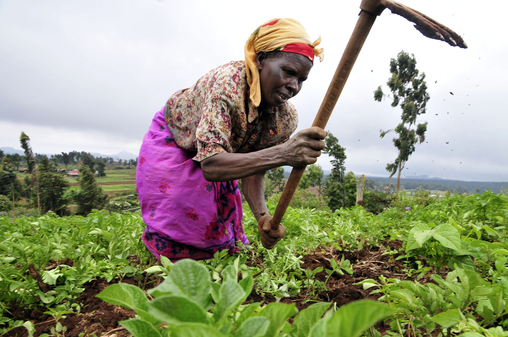 Woman-Farmer